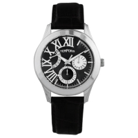 Наручний годинник Temporis T013GS.02