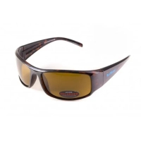 Сонцезахисні окуляри BluWater Florida-1 Polarized Коричневі (4ФЛР1-50П)