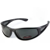 Сонцезахисні окуляри BluWater Florida-3 Polarized Сірі (4ФЛР3-20П)