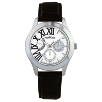 Наручний годинник Temporis T013GS.05