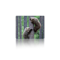 Килимок для мишки Voltronic Two Bears (YT-CAT11)