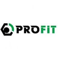 Повітряний фільтр для автомобіля Profit 1512-4282