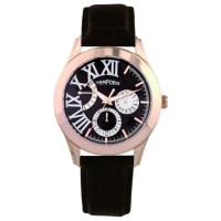 Наручний годинник Temporis T013GS.06