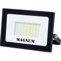 Прожектор MAGNUM FL12 ECO LED 50Вт slim 6500К IP65 (90018085)