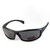 Сонцезахисні окуляри BluWater Florida-4 Polarized Сірі (4ФЛР4-20П)