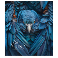 Зошит Школярик THE MUSE 48 аркушів клітинка (048-3444K)