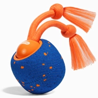 Іграшка для собак Cheerble Wicked Ball Rolly (Royal Blue) (CWQ07B)
