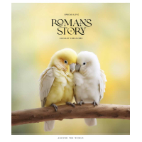 Зошит Школярик Romance stories 48 аркушів лінія (048-3571L)