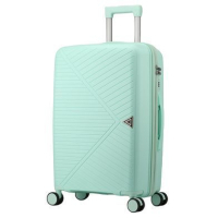 Валіза Semi Line 28" L T5831-3 Mint (DAS303205)