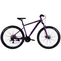 Велосипед Discovery 29" TREK DD рама-19" ST 2025 фіолетовий (OPS-SP-29-078)