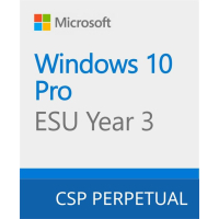 Операційна система Microsoft Windows 10 ESU Year 3 (2027 - 2028) Extended Security Updates (ESU) (DG7GMGF0SSGZ_0002)