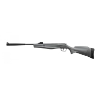 Пневматична гвинтівка Stoeger RX5 Synthetic Stock Grey Combo ОП 4х32 (A0710600)