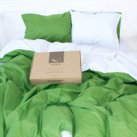 Постільна білизна MirSon Ranforce Elite Green Diego (11-2107 + 18-0130) 143х210х2 (2200004680835)