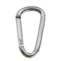 Карабін туристичний Tramp Набір 10 шт без муфти 6 cм Silver (UTRA-300-silver)