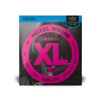 Струни для гітари D'Addario XL Nickel Wound Bass Regular Light Double Ball End (45-100) (ESXL170)