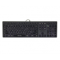 Клавіатура A4Tech FX60 USB Grey White backlit