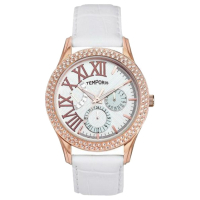 Наручний годинник Temporis T018LS.03