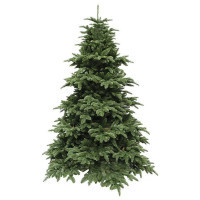 Штучна ялинка Triumph Tree Abies Nordmann De Luxe 2.3 м Зелена (8711473890211)