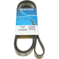 Поліклиновий ремінь DAYCO 5PK1815