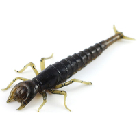 Силікон рибальський FishUP Diving Bug 2" 043 - Watermelon Brown/Black (8шт/уп) (1862.00.17)