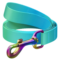 Повідець для собак WAUDOG Nylon Recycled S Ш 15 мм Д 122 cм блакитний (46622)
