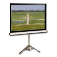 Проекційний екран T113NWS1 Elite Screens