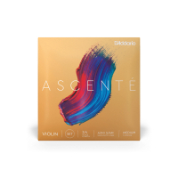 Струни для скрипки D'Addario Ascente Violin String Set 3/4 Scale Medium Tension (A310 3/4M)