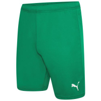 Шорти Puma teamRISE Short 704942-05 зелений L (4063699209846)