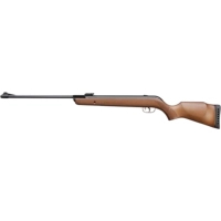 Пневматична гвинтівка Gamo BIG CAT HUNTER (6110088-BC)