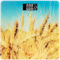 Ваги підлогові ARDESTO SCB-965WHEAT