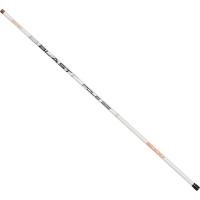 Вудилище Brain Blast Pole SE 4.0m (1858.56.59)