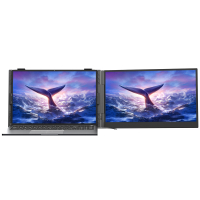 Монітор Blackview Single Screen 14inch (BVSCM6)