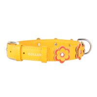 Нашийник для тварин Collar GLAMOUR з оздобленням "Аплікація" Ш 35 мм Д 46-60 см жовтий (35048)