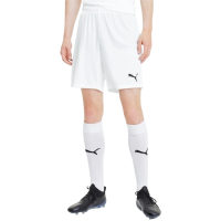 Шорти Puma teamGOAL 23 knit Shorts 704262-04 білий M (4062451180614)