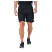 Шорти Puma teamLIGA Shorts 704924-03 чорний S (4063699144819)