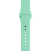 Ремінець до смарт-годинника Armorstandart Sport Band (3 Straps) для Apple Watch 49/46/45/44/42 (Series 1-3) Succulent (ARM65086)