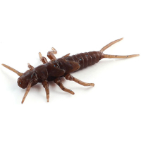 Силікон рибальський FishUP Stonefly 0.75" 012 - Chaos (12шт/уп) (1864.00.36)
