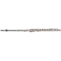 Флейта Maxtone TFC60N