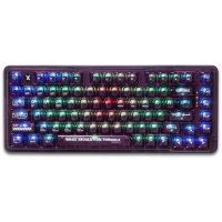 Клавіатура Thunderobot K75 TKL RGB Tri-mode Violet Mist Moon Switch Purple (6932066305550)