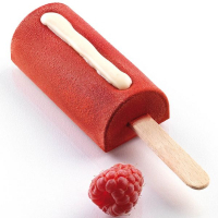 Форма для морозива Silikomart серія "Gelateria" Міні Чік 2 форми+2 таці + 100 паличок (GEL05M)