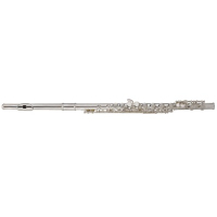 Флейта Maxtone TFC53N/1