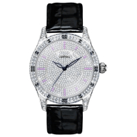 Наручний годинник Temporis T026LS.01