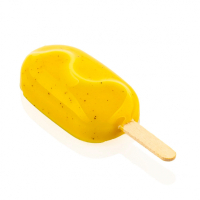 Форма для морозива Silikomart серія "Steccoflex" Classic Wawe Mini Набір для морозива на паличці (GEL18M CLASSIC WAVE MINI)