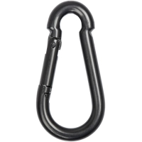 Карабін туристичний Skif Outdoor Clasp I 180 кг (BT245-180)
