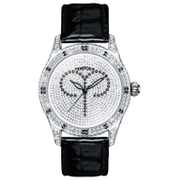Наручний годинник Temporis T027LS.01