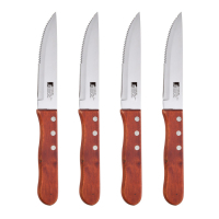 Набір ножів Bergner Bbq lovers для стейків, 4 предмети (BG-40201-MM)
