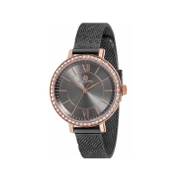 Наручний годинник Bigotti BGT0195-6
