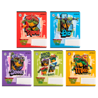 Зошит Kite Ninja Turtles, 12 аркушів, лінія (NT24-234)