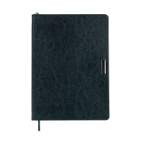 Тижневик Buromax недатований SALERNO, L2U, A4, зелений, штуч.шкіра, 336 сторінок (BM.20990-04)