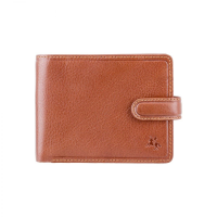 Гаманець Visconti TSC48 Filipo з RFID Tan (TSC48 TAN)